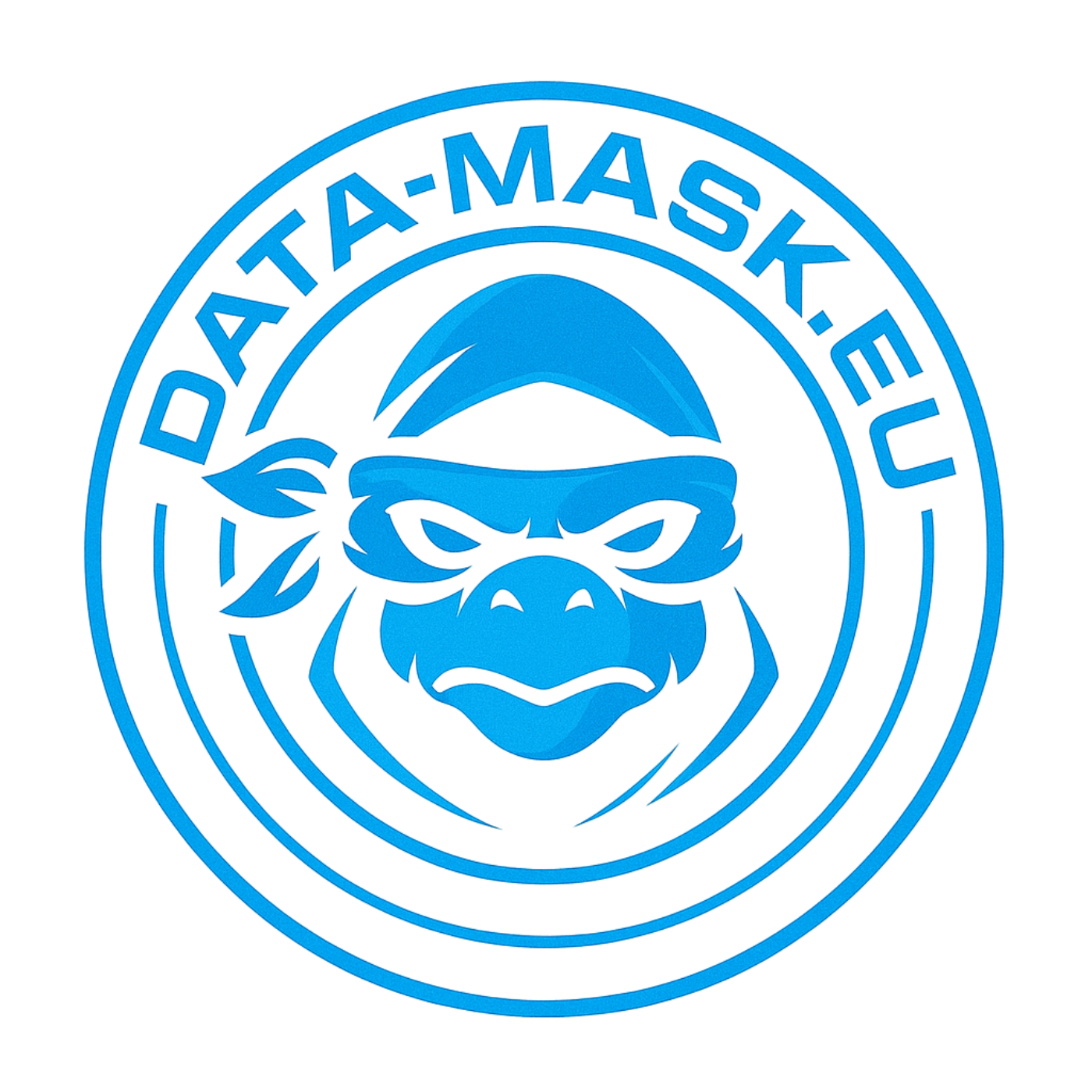 data-mask.eu